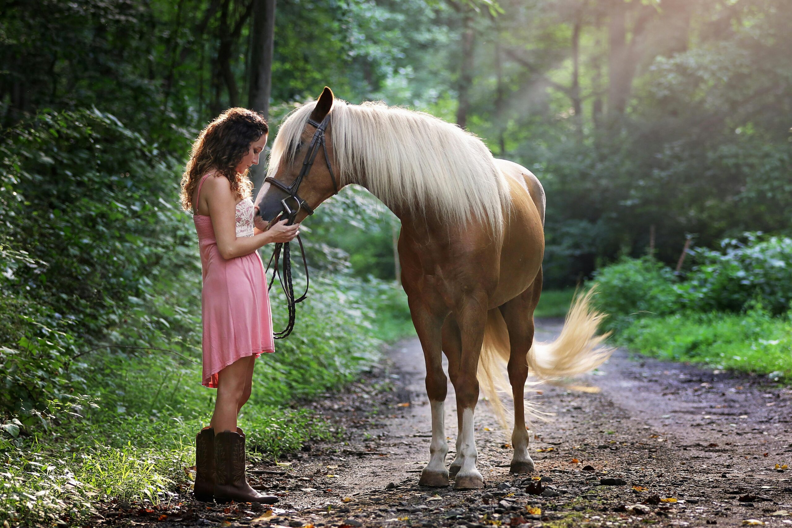 Horses